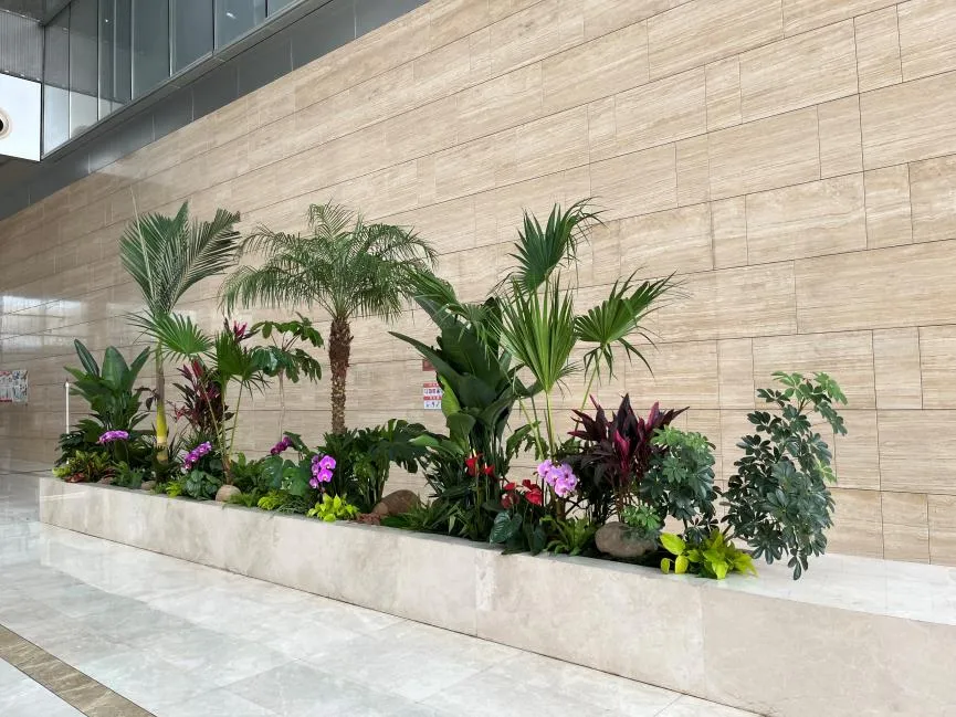 宁波北仑花木租赁价格实惠