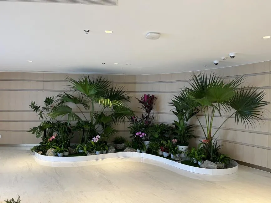 选宁波杭州湾花木出租，掌握这些秘诀挑到满意那家！